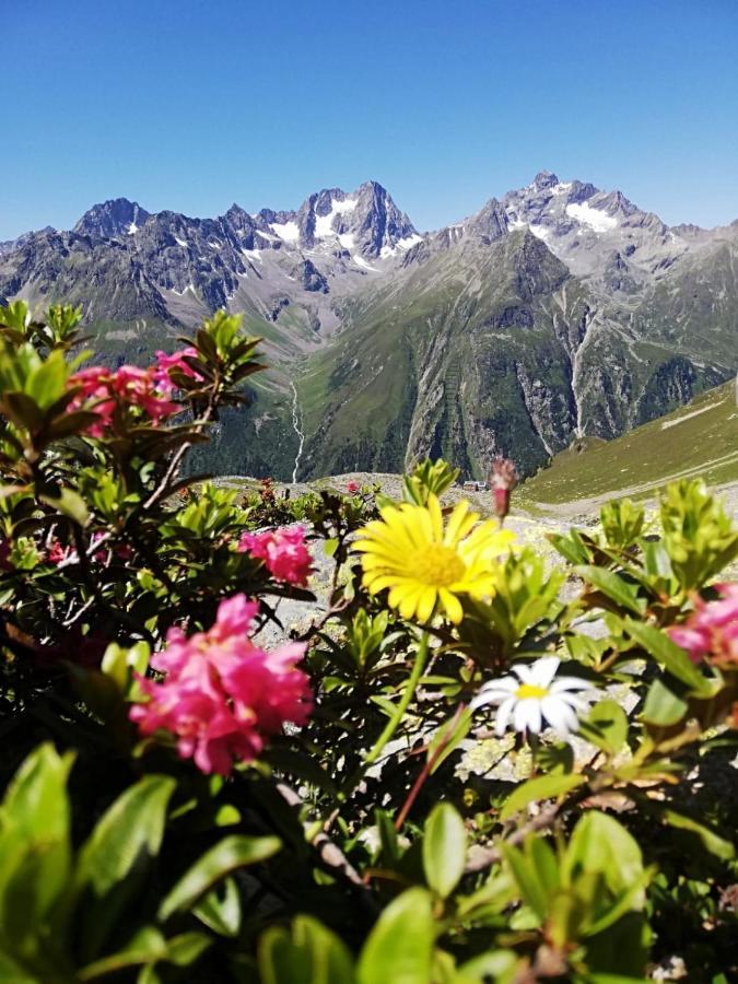 Haus Bergwind Lägenhet Sankt Leonhard im Pitztal Exteriör bild
