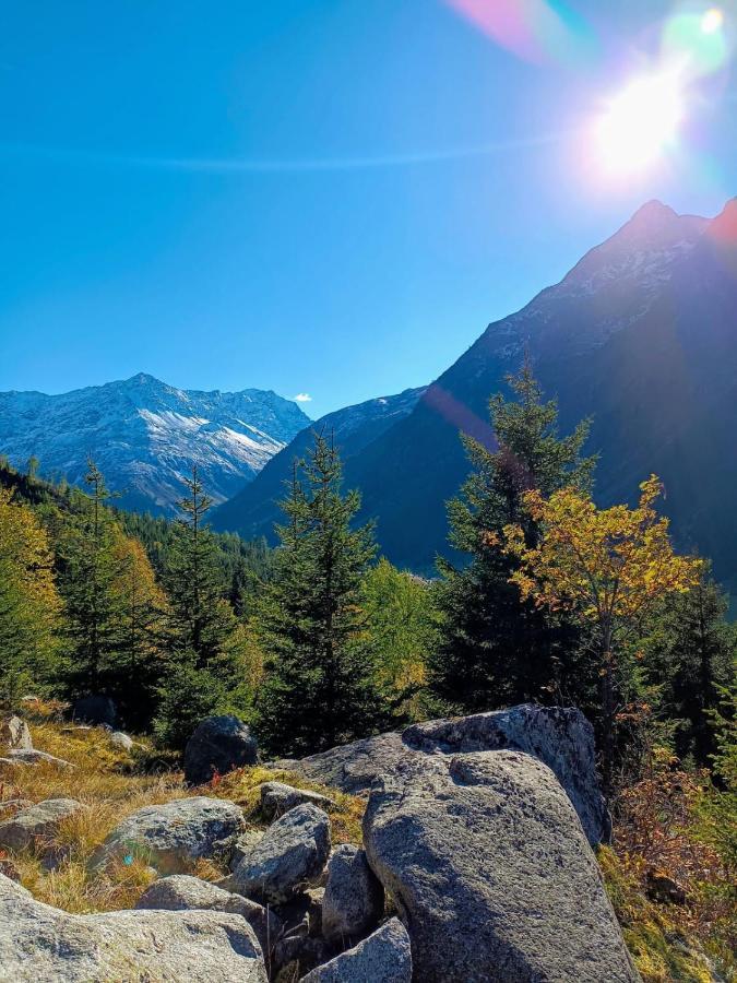 Haus Bergwind Lägenhet Sankt Leonhard im Pitztal Exteriör bild